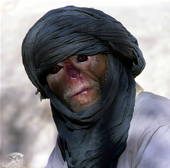 Human Ape