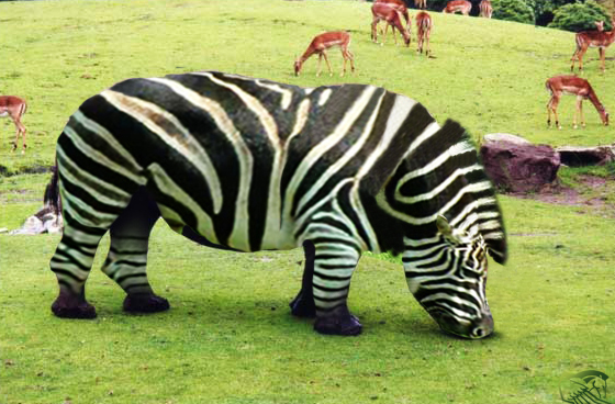 Zebrhino