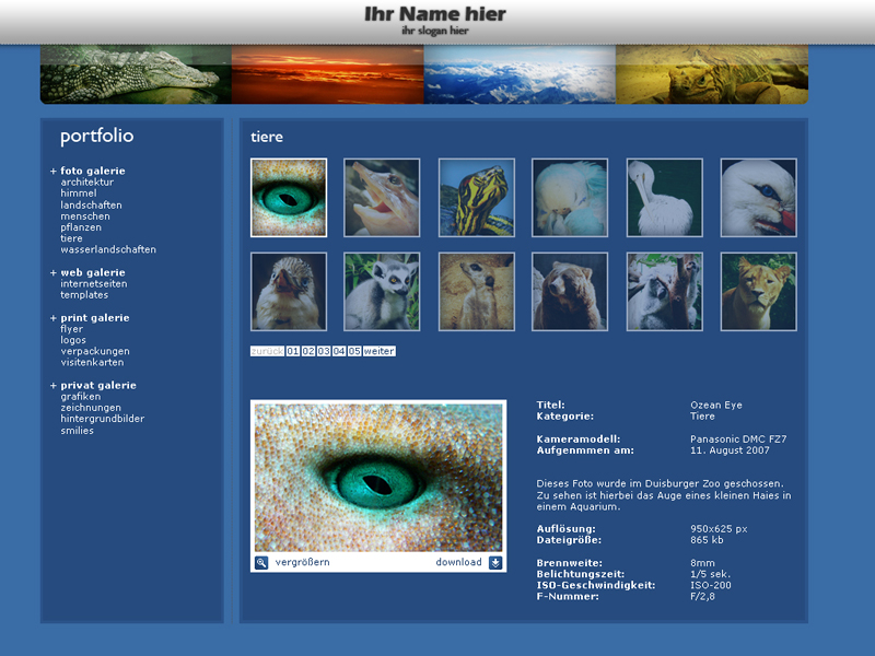 Portfolio Design