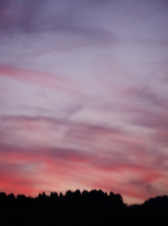 Purple Sky