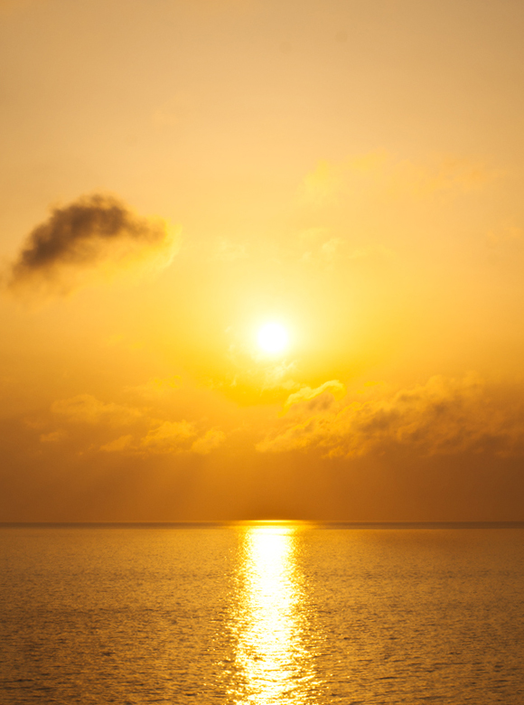Sun Goes Down
